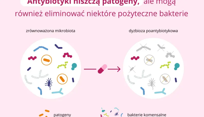 Jak zażywać probiotyk, by działał? Kluczowe zasady i błędy