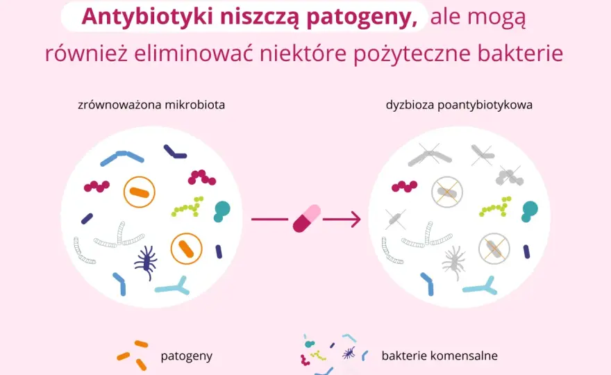 Jak zażywać probiotyk, by działał? Kluczowe zasady i błędy