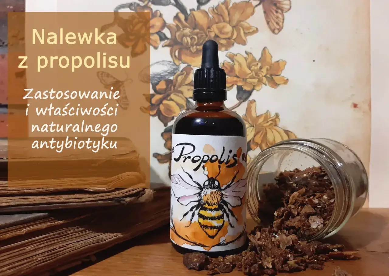 Propolis nalewka dawkowanie dla dorosłych i dzieci